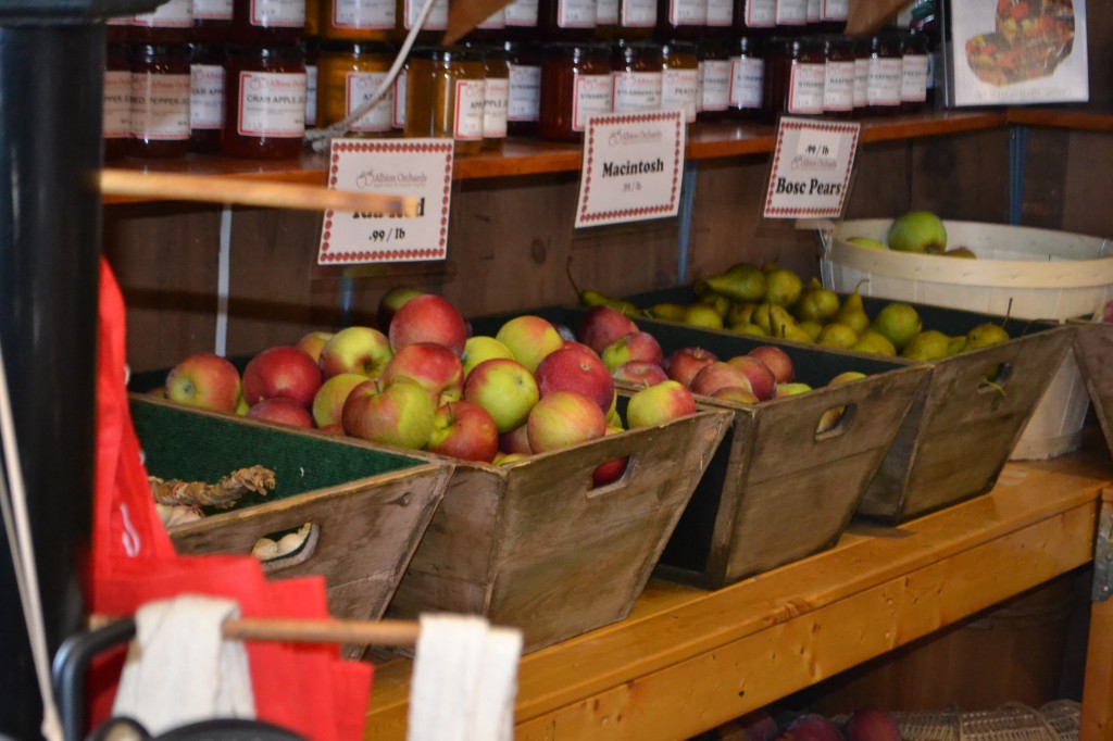 Country Store   DSC 1377 1024x682 