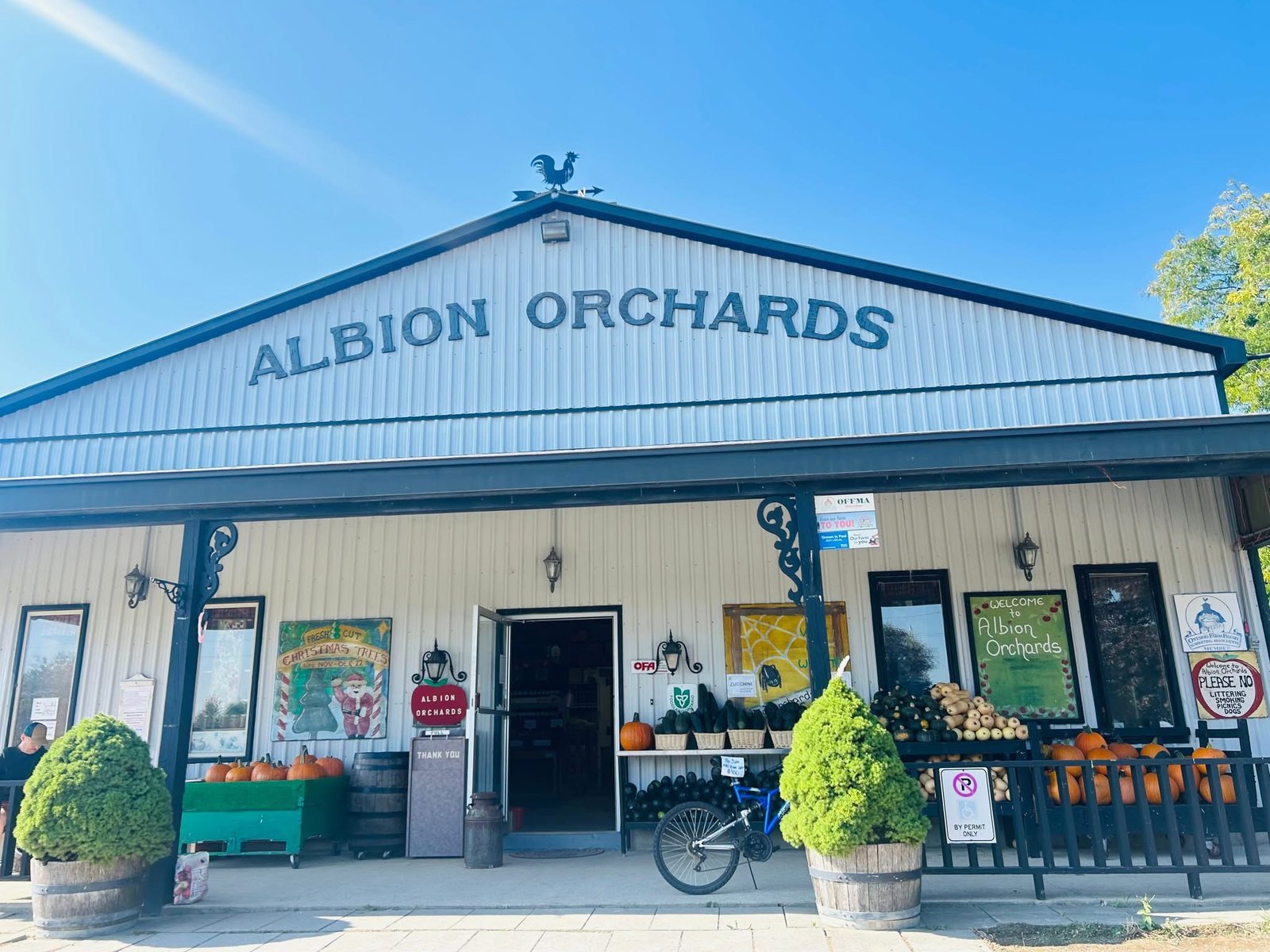 Come to our store where farm fresh goodness meets the beauty of countryside. Browse our market, discover fresh picked produce, homemade treats and leave something delicious to take home.